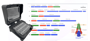 IMG Bioinformatics