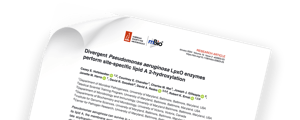 Pseudomonas