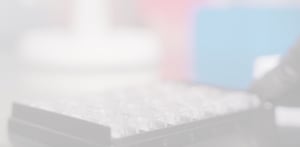 duet-co-culture-microplate-2-scaled