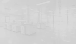 lab