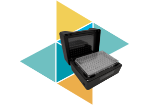 Copy of Untitled (3)