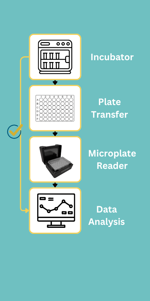 Accelerate Cell Culture Optimization with Rayo | Compact Microplate Reader